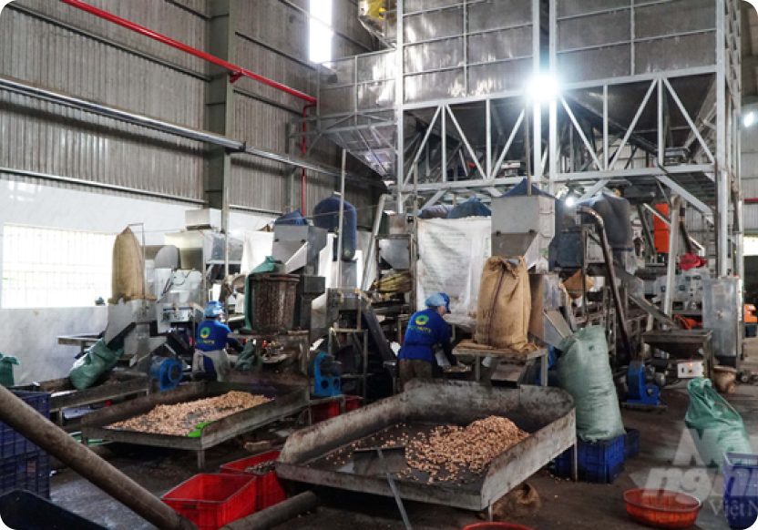 Máy Đóng Gói Trà Túi Lọc Mini PT20