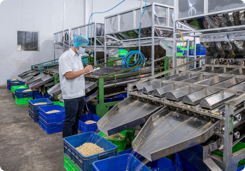 Máy Đóng Gói Hạt Nêm tự động hóa